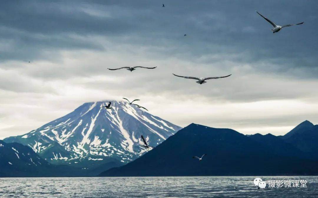 岛棕熊捕鱼、白令海峡寻拍鲸鱼及自然风光专业摄影团开元ky棋牌【远东探险丨勘察加】7月野性堪察加半(图2)